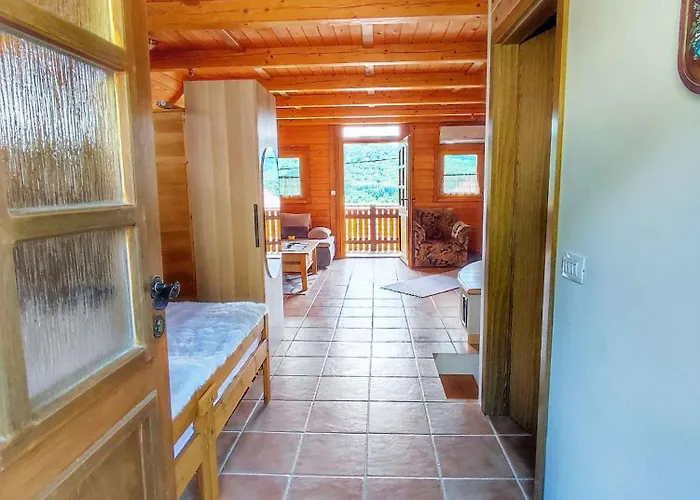 In - Kranjska דולנז'סקה טופליסה